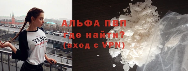 PSILOCYBIN Липки