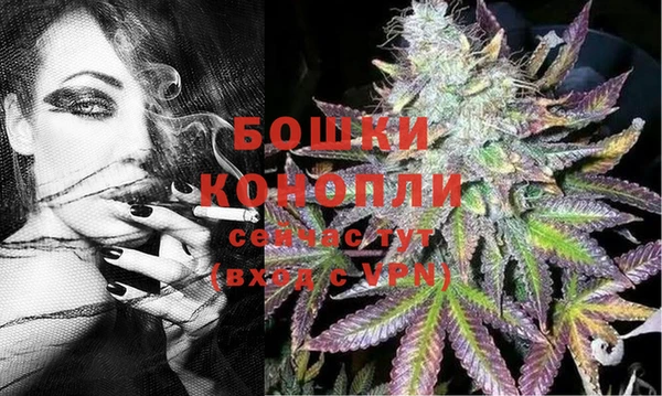 PSILOCYBIN Липки