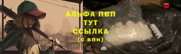 PSILOCYBIN Липки