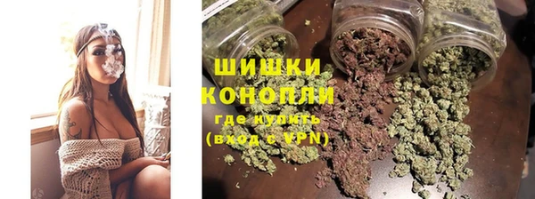 PSILOCYBIN Липки