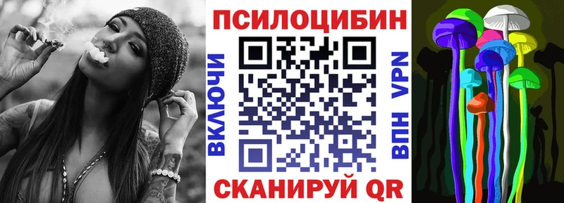 Галлюциногенные грибы мицелий  где найти   omg ссылки  Щигры 